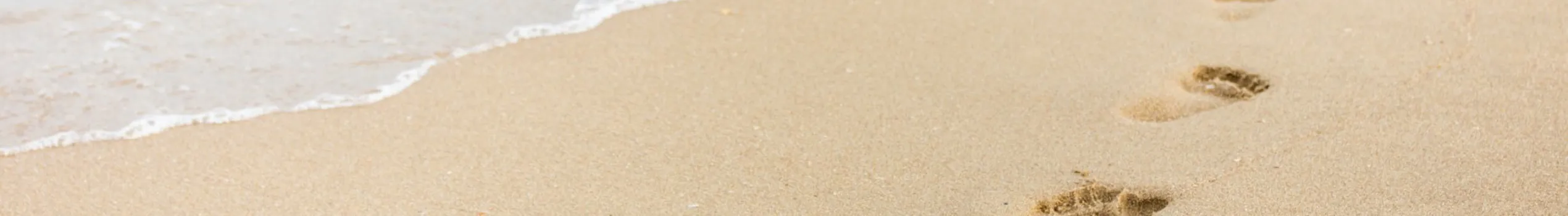 Meetcarl Page Header