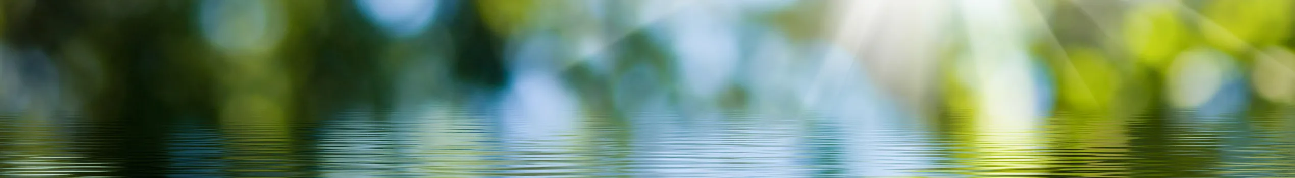 Adobestock 282596489