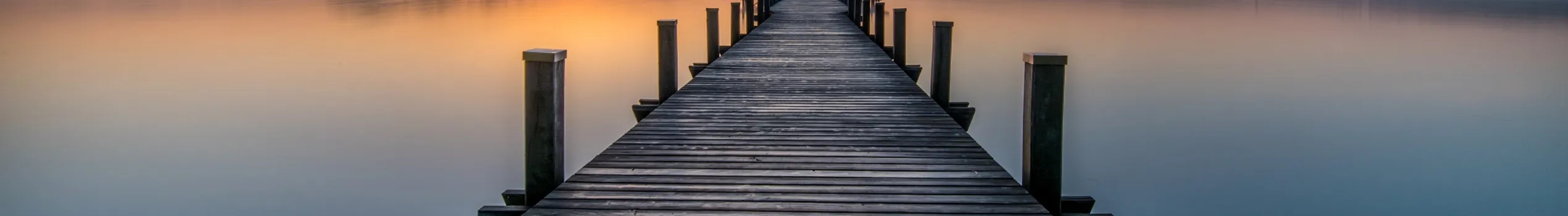 Adobestock 320994420