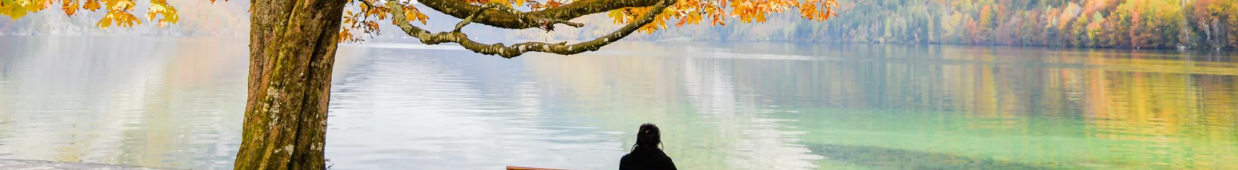 Menopause Headerpic