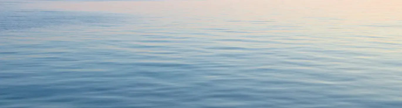 Contact Page Header