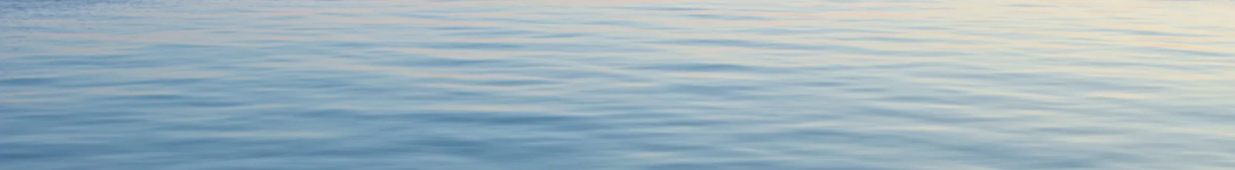 Contact Page Header