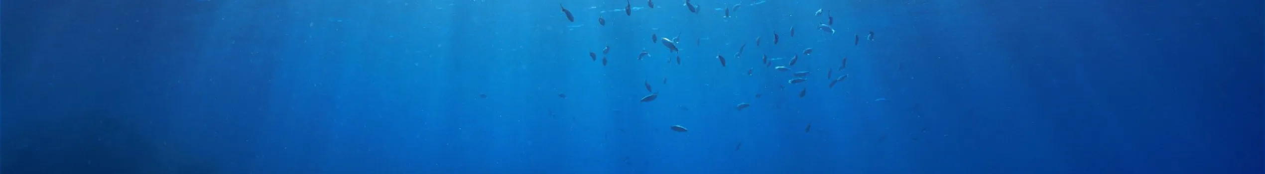 Fearsphobia Page Header